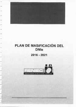 PLAN DE MASIFICACI&Oacute;N DEL - DNIe RENIEC 2016 2021 - RENIEC ...