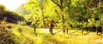 BALANCE DEL A&Ntilde;O TUR&Iacute;STICO 2019 PREVISIONES 2020 - Diciembre de 2019 - Turismo y ...