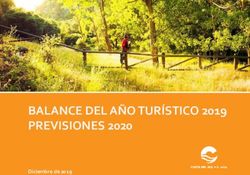 BALANCE DEL A&Ntilde;O TUR&Iacute;STICO 2019 PREVISIONES 2020 - Diciembre de 2019 - Turismo y ...