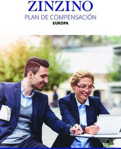 PLAN DE COMPENSACI&Oacute;N EUROPA