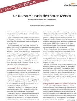 IZACIÓN E Un Nuevo Mercado Eléctrico en México
