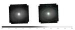 A Study of The Active Galactic Nucleus