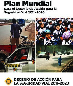 Plan Mundial - DECENIO DE ACCI&Oacute;N PARA LA SEGURIDAD VIAL 2011-2020 - World Health ...
