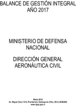 BALANCE DE GESTI&Oacute;N INTEGRAL A&Ntilde;O 2017 MINISTERIO DE DEFENSA NACIONAL DIRECCI&Oacute;N GENERAL AERON&Aacute;UTICA CIVIL