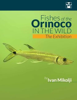 Orınoco IN THE WILD The Exhibition - Ivan Mikolji - Mikolji Store