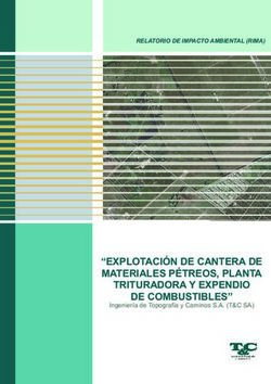 "EXPLOTACI&Oacute;N DE CANTERA DE MATERIALES P&Eacute;TREOS, PLANTA TRITURADORA Y EXPENDIO DE COMBUSTIBLES" - RELATORIO DE IMPACTO AMBIENTAL (RIMA)