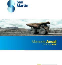 Memoria Anual EJERCICIO 2020 - San Martin Contratistas Generales