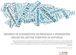 INFORME DE DIAGNÓSTICO DE PRESENCIA Y PROMOCIÓN ONLINE DEL SECTOR TURÍSTICO DE ASTURIAS