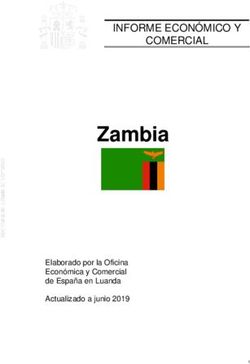 Zambia INFORME ECONÓMICO Y COMERCIAL