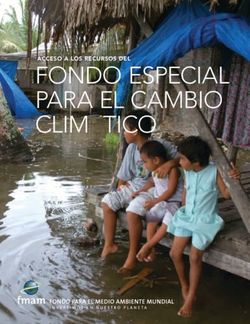 FONDO ESPECIAL PARA EL CAMBIO CLIMÁTICO - ACCESO A LOS RECURSOS dEL