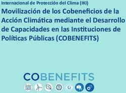 Movilización de los Cobeneficios de la Acción Climática mediante el Desarrollo de Capacidades en las Instituciones de Políticas Públicas ...