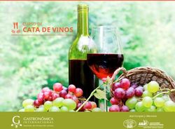 Cata de vinos curso de - Aval Europeo y Mexicano