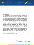 Evaluaci&oacute;n aut&oacute;noma de Lectura, Escritura Y Oralidad 2do. a&ntilde;o (CEIP) 2019 - Documento conceptual - Anep