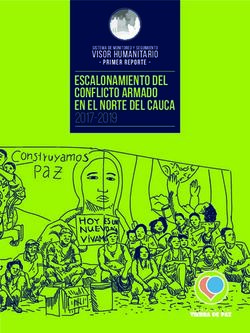 ESCALONAMIENTO DEL CONFLICTO ARMADO EN EL NORTE DEL CAUCA - 2017-2019 VISOR HUMANITARIO - Fundación Tierra de Paz