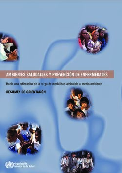 AMBIENTES SALUDABLES Y PREVENCIÓN DE ENFERMEDADES - RESUMEN DE ORIENTACIÓN Hacia una estimación de la carga de morbilidad atribuible al medio ambiente