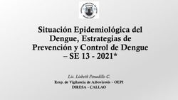 Situaci&oacute;n Epidemiol&oacute;gica del Dengue, Estrategias de Prevenci&oacute;n y Control de Dengue- SE 13 - 2021* Lic. Lizbeth Penadillo C - Centro Nacional ...