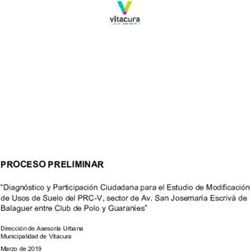 PROCESO PRELIMINAR - Municipalidad de Vitacura