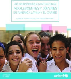 ADOLESCENTES Y JÓVENES - EN AMÉRICA LATINA Y EL CARIBE A PARTIR DE EVIDENCIA CUANTITATIVA RECIENTE - UNICEF