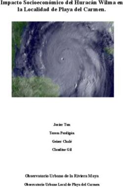 Impacto Socioeconómico del Huracán Wilma en la Localidad de Playa del Carmen - Observatorio Urbano de la Riviera Maya