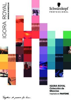 IGORA ROYAL Colecci&oacute;n de Mezclas - Inspirado en