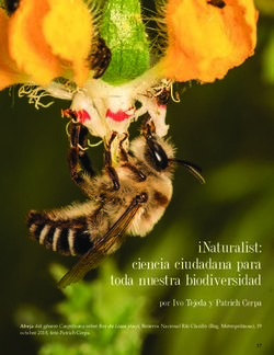 INaturalist: ciencia ciudadana para toda nuestra biodiversidad - por Ivo Tejeda y Patrich Cerpa - La Chiricoca
