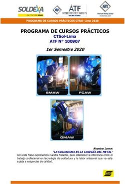 PROGRAMA DE CURSOS PRÁCTICOS - CTSol-Lima - Soldexa