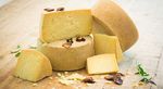 CAT&Aacute;LOGO GENERAL 2019 - Sabores de Italia
