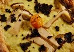 CAT&Aacute;LOGO GENERAL 2019 - Sabores de Italia