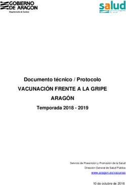 VACUNACIÓN FRENTE A LA GRIPE ARAGÓN - Documento técnico / Protocolo Temporada 2018 2019