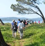 ACTIVIDADES PARA VIAJES DE INCENTIVO - SANTIAGO DE COMPOSTELA - Turismo de Santiago