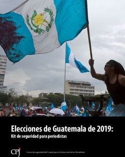 Elecciones de Guatemala de 2019: Kit de seguridad para periodistas Avisos de seguridad del Comité para la Protección de los Periodistas