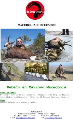 MACEDONIA-REBECOS 2022 - Rebeco en Mavrovo Macedonia - De Onís Safaris