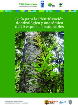 Gu&iacute;a para la identificaci&oacute;n dendrol&oacute;gica y anat&oacute;mica de 29 especies maderables