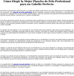 C&oacute;mo Elegir la Mejor Plancha de Pelo Profesional