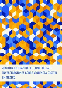 JUSTICIA EN TR&Aacute;MITE. EL LIMBO DE LAS INVESTIGACIONES SOBRE VIOLENCIA DIGITAL EN M&Eacute;XICO - Luchadoras