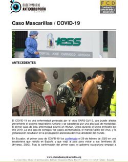 Caso Mascarillas / COVID-19 - Observatorio Anticorrupción ...