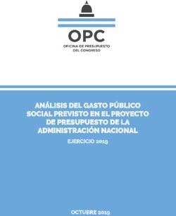 ANÁLISIS DEL GASTO PÚBLICO SOCIAL PREVISTO EN EL PROYECTO DE PRESUPUESTO DE LA ADMINISTRACIÓN NACIONAL - EJERCICIO 2019 OCTUBRE 2019
