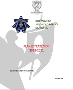 PLAN ESTRAT&Eacute;GICO 2018-2021 - DIRECCI&Oacute;N DE SEGURIDAD P&Uacute;BLICA MUNICIPAL