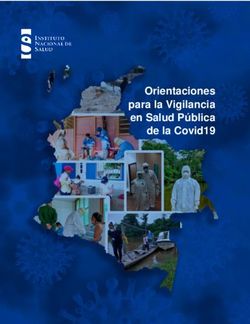 Orientaciones para la Vigilancia en Salud Pública de la Covid19 - Instituto Nacional de ...