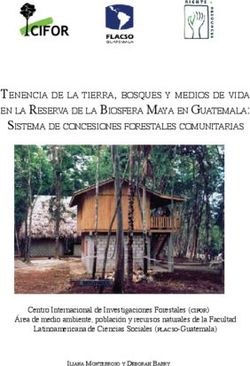 TENENCIA DE LA TIERRA, BOSQUES Y MEDIOS DE VIDA EN LA RESERVA DE LA BIOSFERA MAYA EN GUATEMALA: SISTEMA DE CONCESIONES FORESTALES COMUNITARIAS