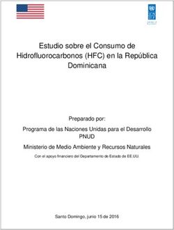 Estudio sobre el Consumo de Hidrofluorocarbonos (HFC) en la Rep&uacute;blica Dominicana - UNDP