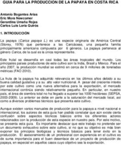 GUIA PARA LA PRODUCCION DE LA PAPAYA EN COSTA RICA - MAG