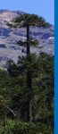 Status de Chile: Emisiones de GEI, trayectoria al 2030 y acci&oacute;n clim&aacute;tica - Oficina de Cambio Clim&aacute;tico - Programa Energ&iacute;as ...