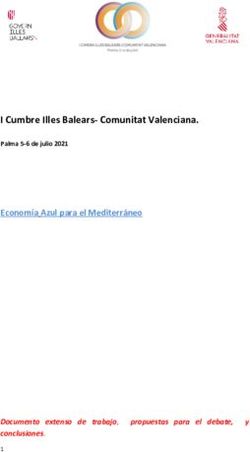 I Cumbre Illes Balears-Comunitat Valenciana - Palma 5-6 de julio 2021 - propuestas para el debate, Valencia Plaza