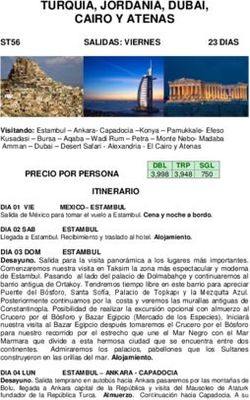 TURQUIA, JORDANIA, DUBAI, CAIRO Y ATENAS