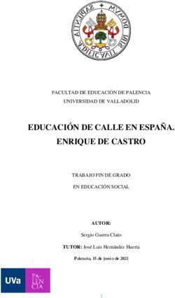 EDUCACI&Oacute;N DE CALLE EN ESPA&Ntilde;A. ENRIQUE DE CASTRO