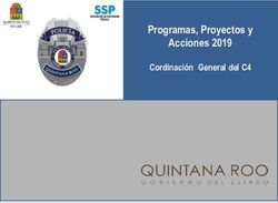 Programas, Proyectos y Acciones 2019 - Cordinación General del C4 - QRoo.gob.mx