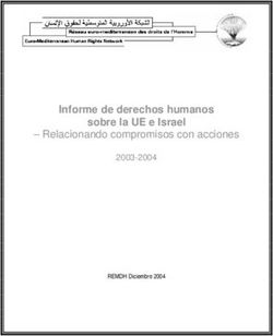 Informe de derechos humanos sobre la UE e Israel-Relacionando compromisos con acciones