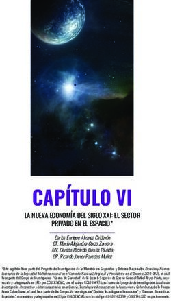 CAP&Iacute;TULO VI LA NUEVA ECONOM&Iacute;A DEL SIGLO XXI: EL SECTOR PRIVADO EN EL ESPACIO* - Libros Escuela Superior de Guerra