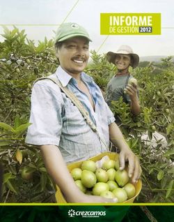INFORME DE GESTI&Oacute;N - Crezcamos